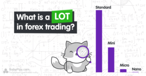 What is a lot in Forex