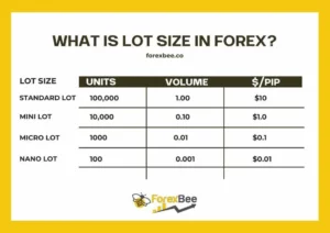 What is a lot in Forex