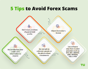 Forex Automation Scams